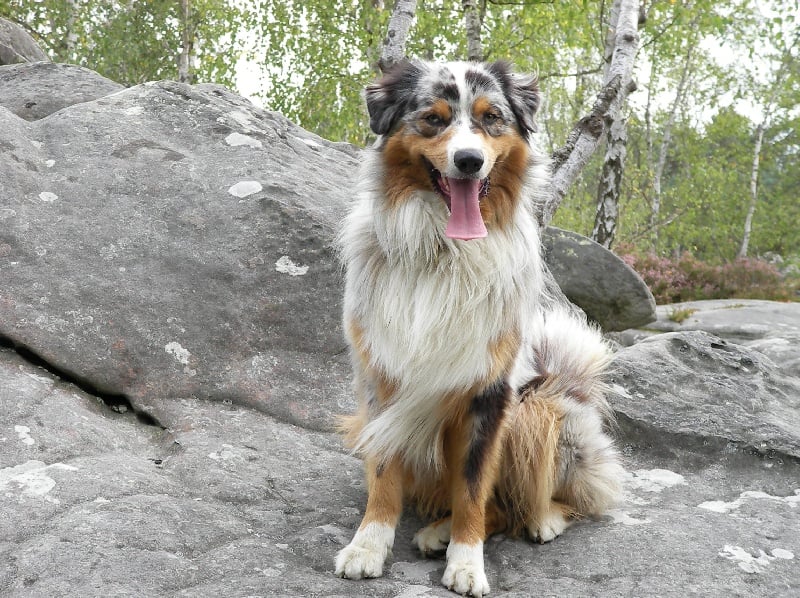 Chiro de la Vallée de l'Hyrome