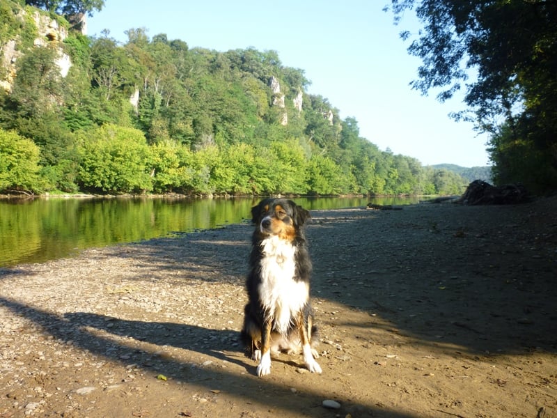 Callie de la Vallée de l'Hyrome