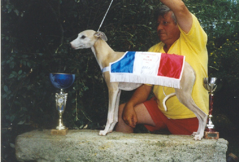 CH. Oréade-nymphéa Du Cèdre Bleu De Monette