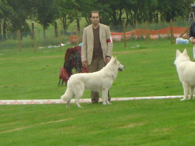 Enzo du domaine des fantomes blancs