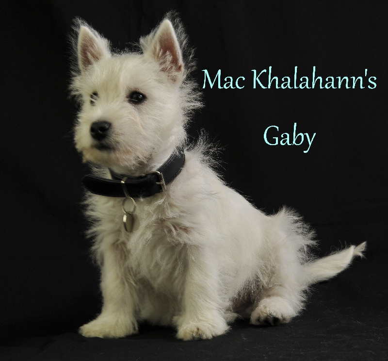 Mac Khalahann's 's gaby