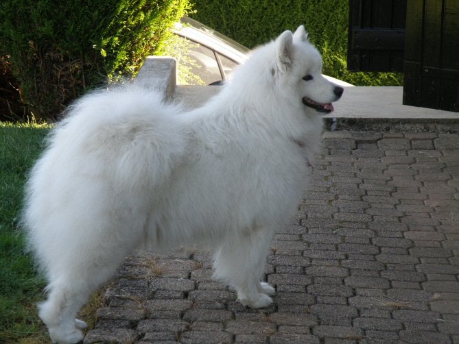 Fabuleuse fidji de l'Ile Blanche