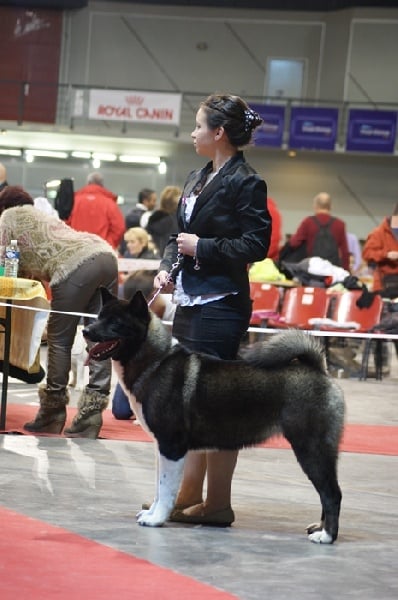 CH. Ba'Kita Iolite and crocro belle