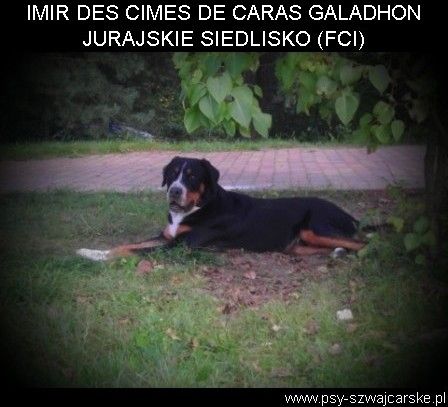 Imir Des cimes de caras galadhon