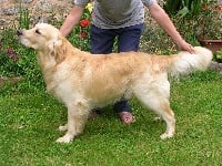 Goodwood goes to hareswith Of clan buchanan