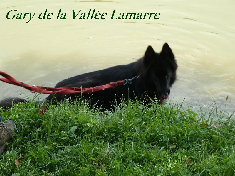 Gary de la Vallée Lamarre