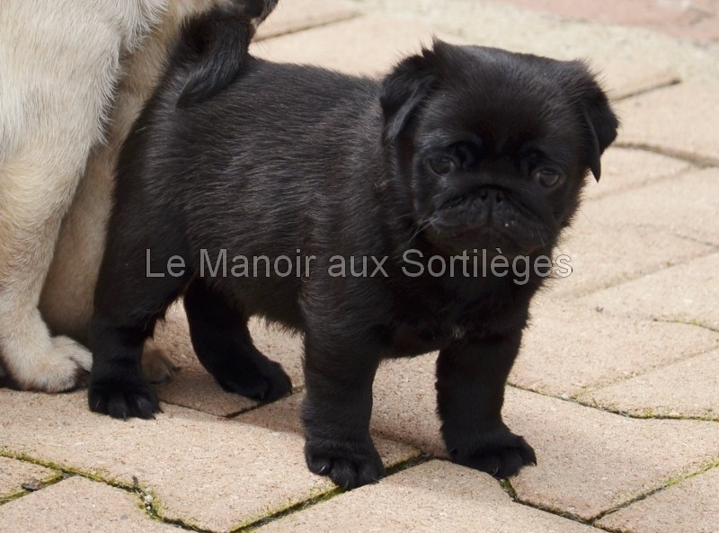 Juste toi et moi Du manoir aux sortilèges