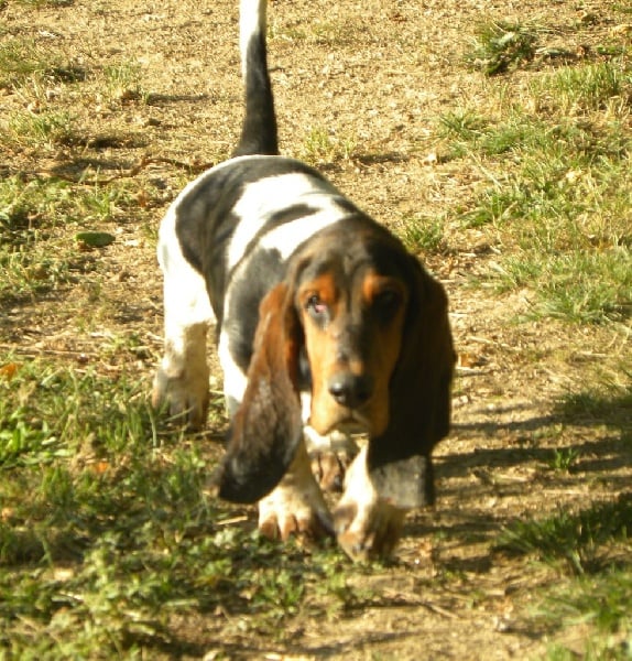 Loupiac Du Cercle De Léma