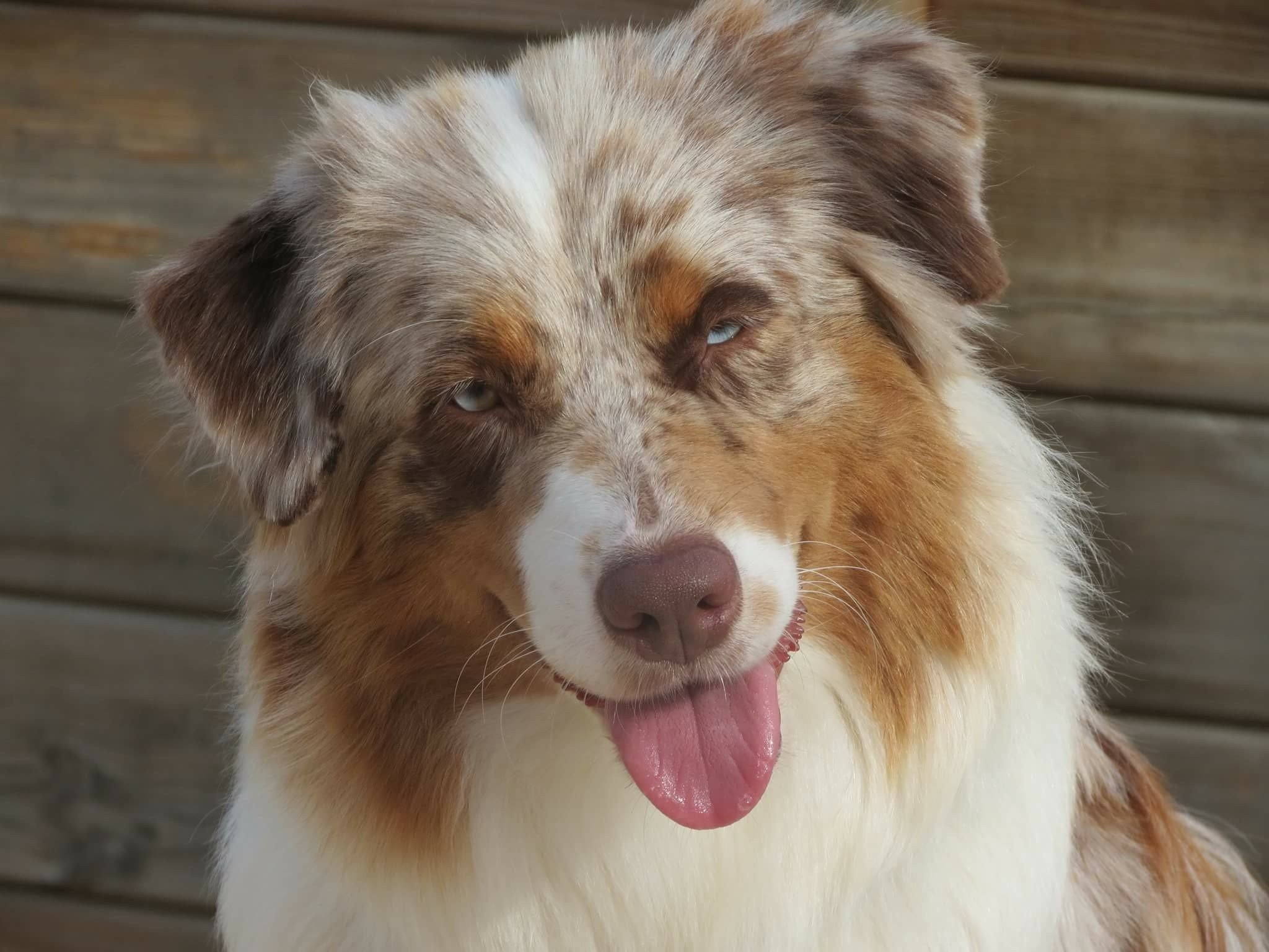 Marley Des Terres De L'Argentelle