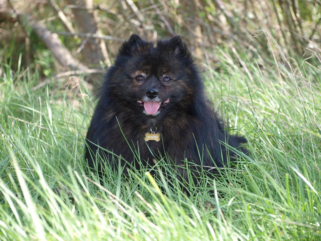 Gauvain du royaume des bouts de chou