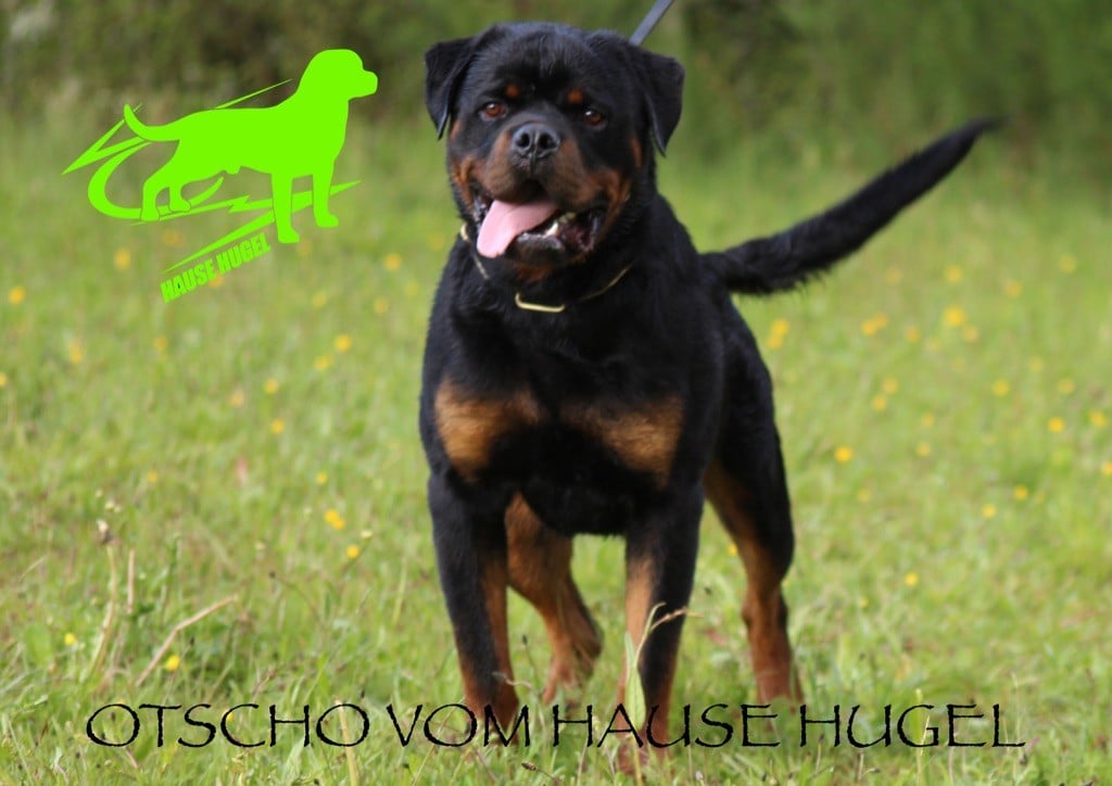 Otscho Vom Hause Hugel