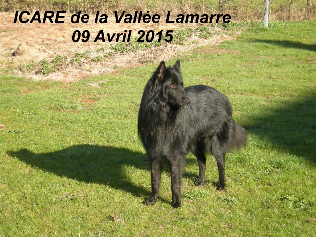 Icare de la Vallée Lamarre