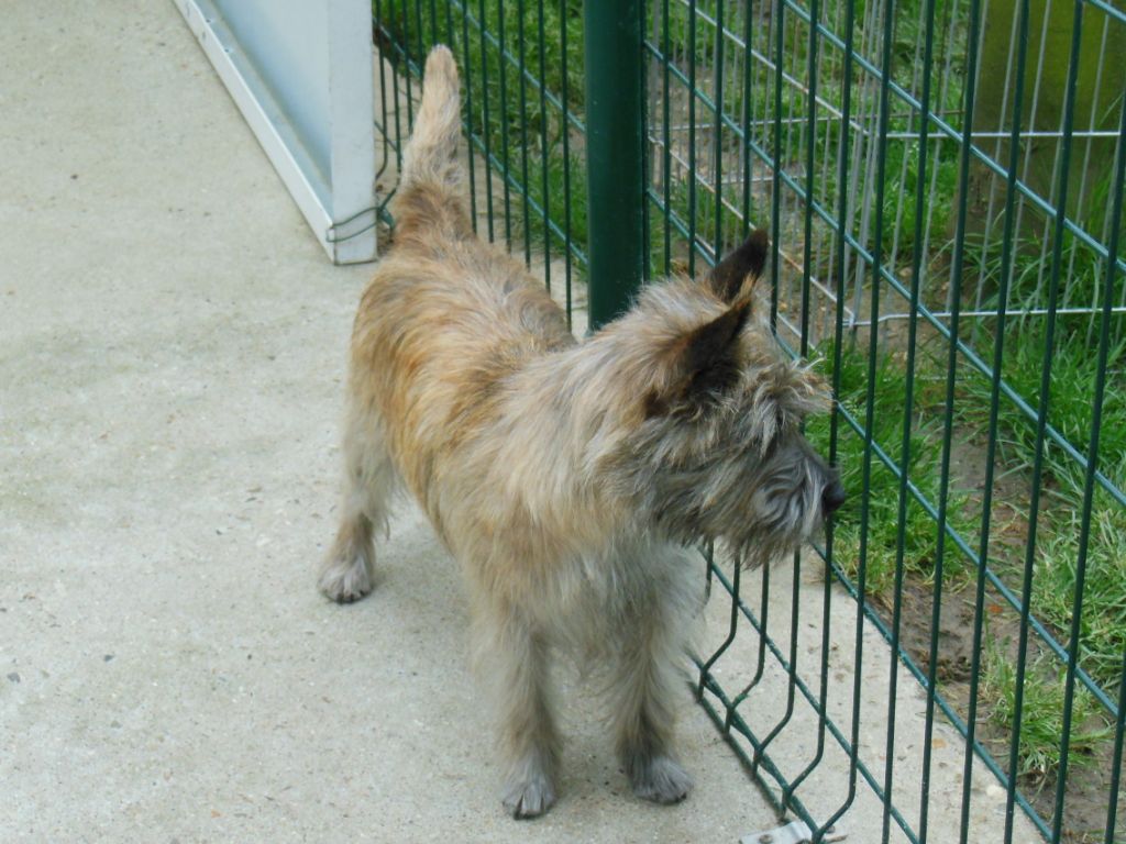 Lorna du clos de la Dabinerie