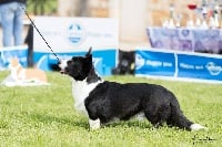 CH. Jules de la Cit? des Grands Feux