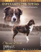 Okinai dark des merveilles d'ilona