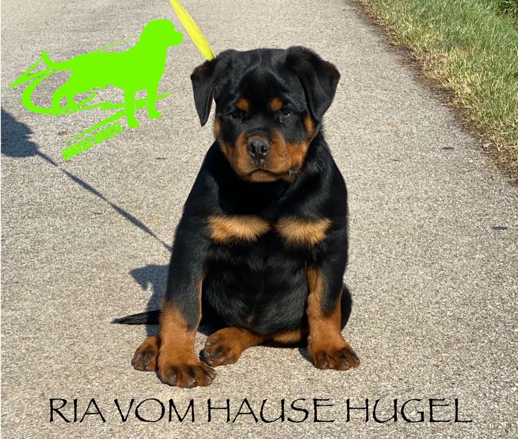 Ria Vom Hause Hugel