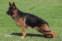 Pacao du val d anzin