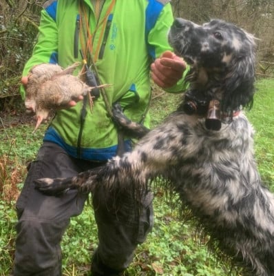 https://chiens-de-france.com/photo/chiens/2021_05/tn200/TN200_202607091221216a4f76215f67b.jpg