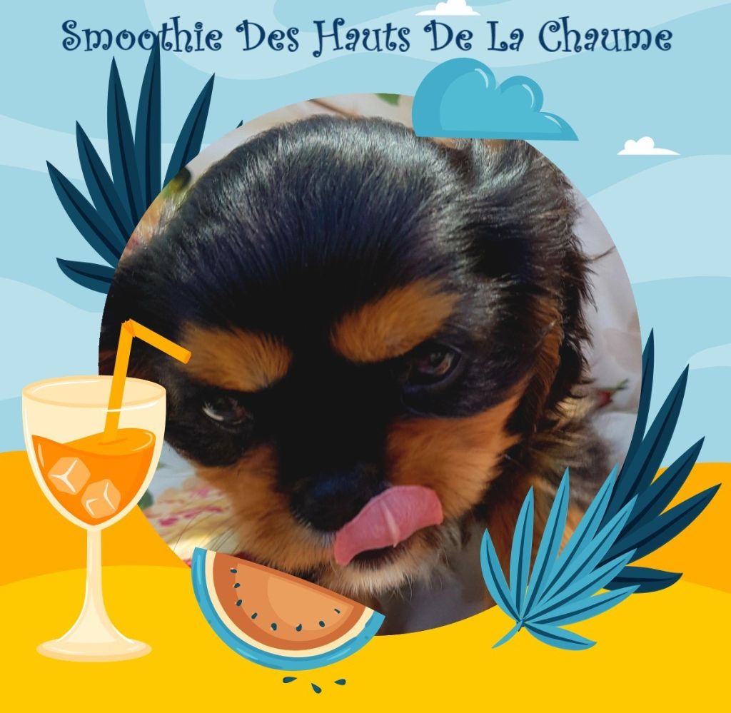 Smoothie Des Hauts De La Chaume