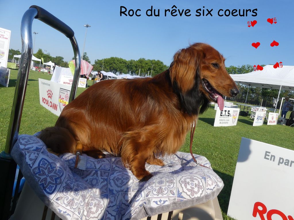 Rok du reve six coeurs