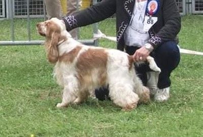 Prince jean du domaine de sultina