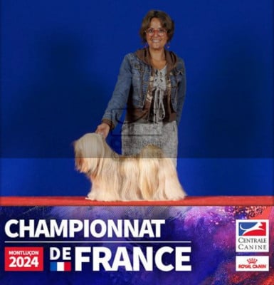 https://chiens-de-france.com/photo/chiens/2022_10/tn200/TN200_2026042421564569ebcafd514e8.jpg