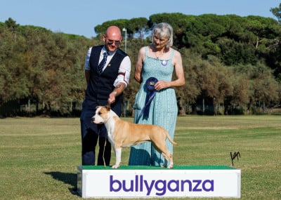 https://chiens-de-france.com/photo/chiens/2022_12/tn200/TN200_20251124092956692417840bc16.jpg