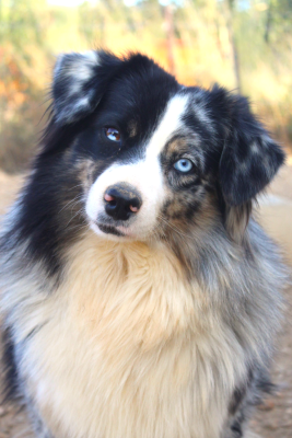 Champagne bubble love cofi capito