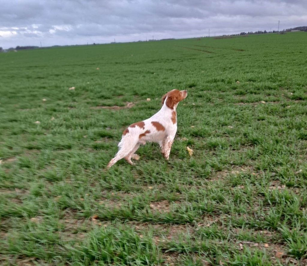 Rocky des doucs de pillots