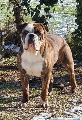 Oscar mon balou du sixieme sens