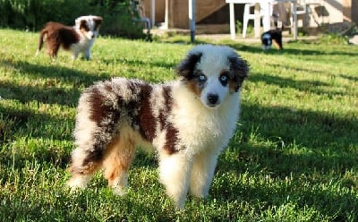 The memories never fade Des Merveilles d?Ilona