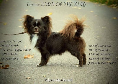 CH. inventor Lord of the ring