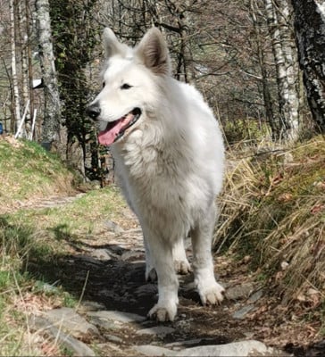 Pastou du Domaine De Cap D? Lastouse