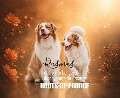 Rasmus Des Ptits Bergers Du Royaume De Rasmus