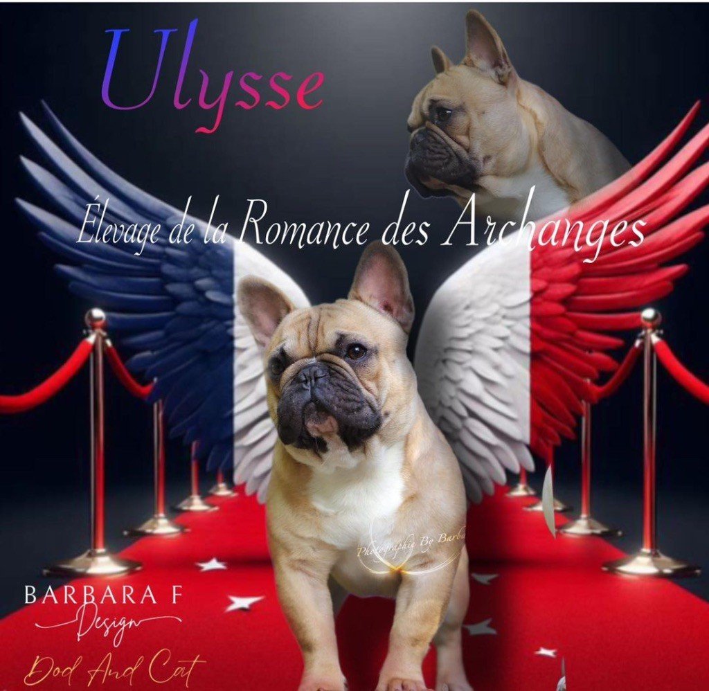 Ulysse De La Romance Des Archanges