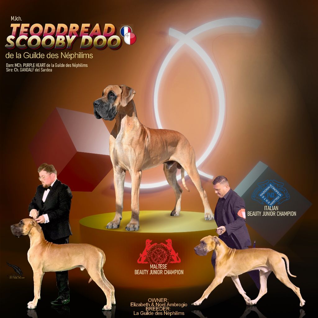 Jch. teoddread scooby-doo De La Guilde Des Néphilims