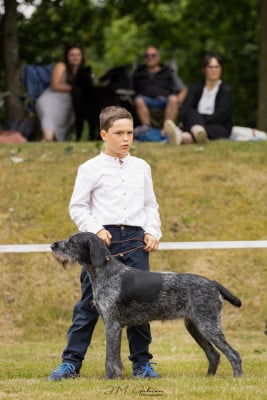 https://chiens-de-france.com/photo/chiens/2024_01/tn200/TN200_2026042814575369f0aed1e98ce.jpg