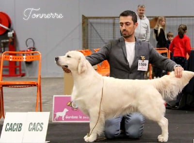 Tonnerre de brest de Bihan ki breizh