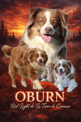 Oburn red light De La Terre De Canaan