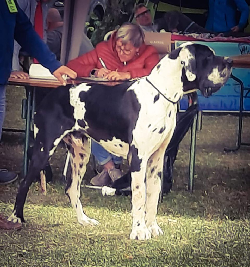 Samedi Des Terres De Limermont