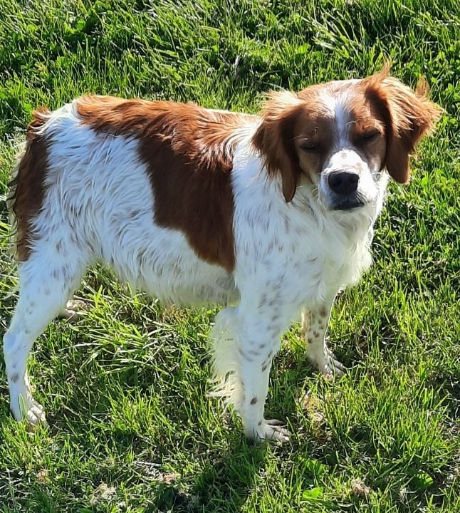 Tina du lac des vergnes