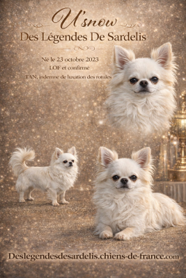 U'snow Des L?gendes De Sardelis