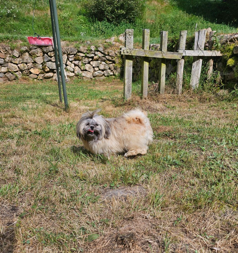 Twinybam du Moulin de Bonneval