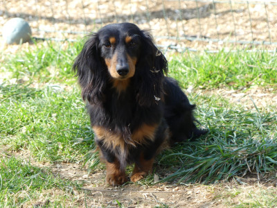 Okay du domaine de luard