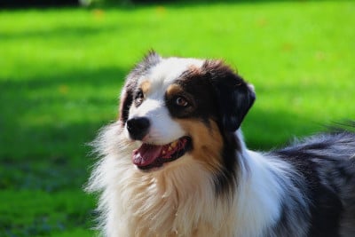 Under the light Red Rock River