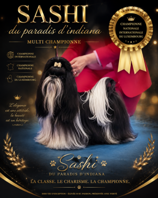 https://chiens-de-france.com/photo/chiens/2024_09/tn200/TN200_202605231258356a11885b80040.png