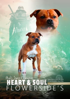 flowerside's Heart and soul