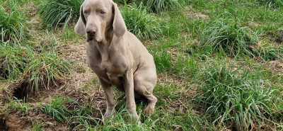 Mojito (Sans Affixe)