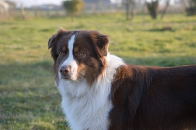 Ultra chic L?Opalyne Des Pierres Pr?cieuses