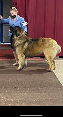 CH. lempileijonan Harun el pullah